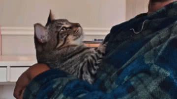 Reprodução / Instagram