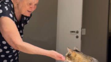 Reprodução / Instagram