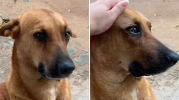 Reprodução / Instagram