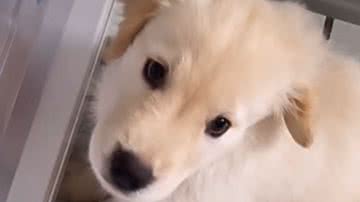 Reprodução / Instagram