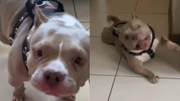 Reprodução / Instagram