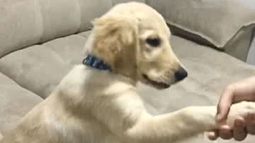 Reprodução / Instagram