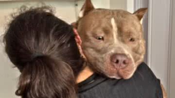 Reprodução / Instagram