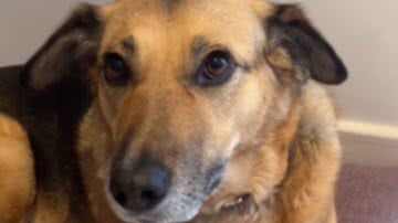 Reprodução / Instagram