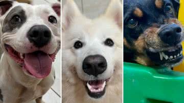 Reprodução / Instagram