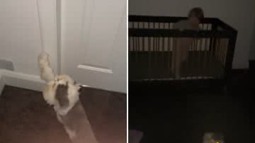 Reprodução / Instagram