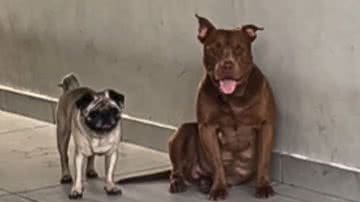 Reprodução / Instagram