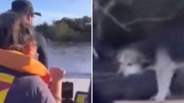 Reprodução / Redes sociais