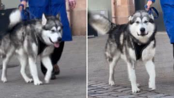 Reprodução / Instagram