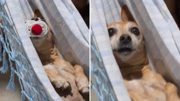 Reprodução / Instagram