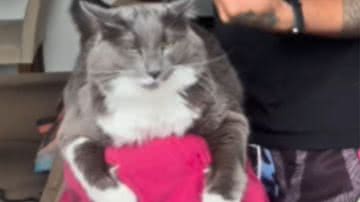 Reprodução / Instagram