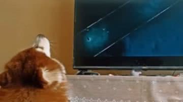 Reprodução / Instagram