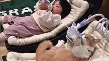 Reprodução / Redes sociais