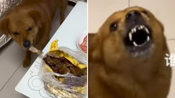 Reprodução / Instagram