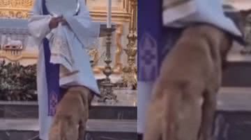 Reprodução / Redes sociais