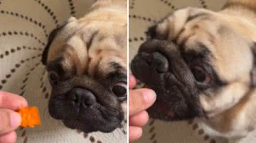 Reprodução / Instagram