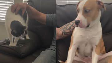 Reprodução / Redes sociais