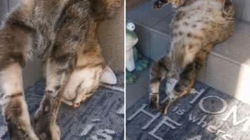 Reprodução / Instagram