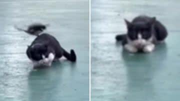 Reprodução / Redes sociais