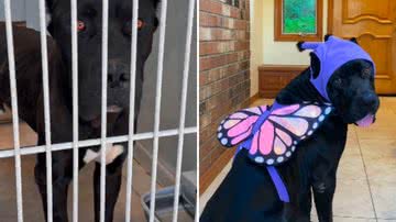 Reprodução / Instagram