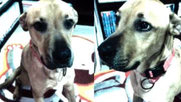 Reprodução / Redes sociais