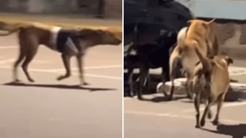 Reprodução / Instagram