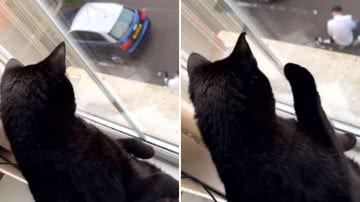 Reprodução / Instagram