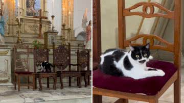 Reprodução / Instagram