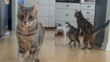 Reprodução / Instagram