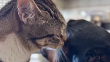 Reprodução / Instagram