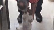 Reprodução / TikTok