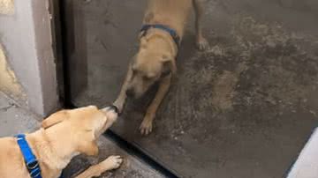 Reprodução / Instagram