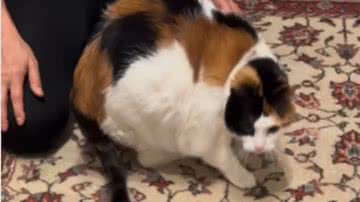 Reprodução / Instagram