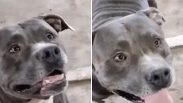 Reprodução / Instagram