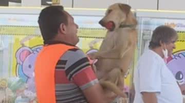 Reprodução / Instagram