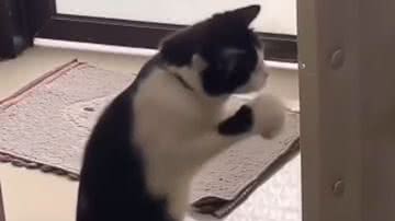 Reprodução / Instagram