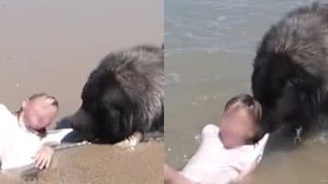 Reprodução / Instagram