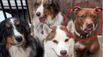 Reprodução / Instagram