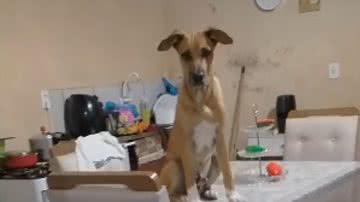 Reprodução / Instagram