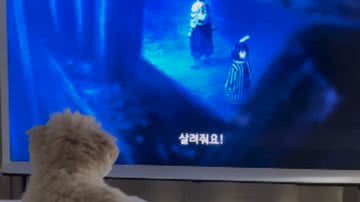 Reprodução / Instagram