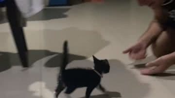 Reprodução / Instagram