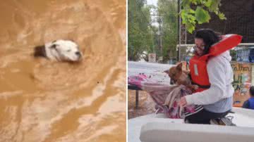 Reprodução / Instagram