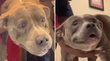 Reprodução / Instagram