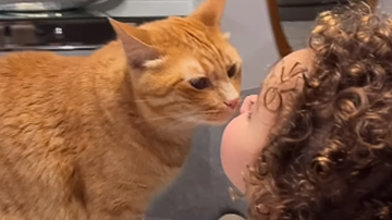 Reprodução / Instagram