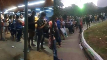Reprodução