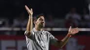 César Greco/Palmeiras