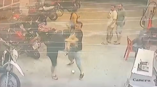 Reprodução