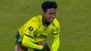 Imagem Endrick imita macaco em comemoração e causa revolta de adversários na Libertadores; assista
