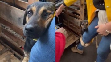 Reprodução/Redes sociais