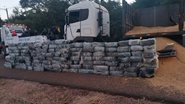 Divulgação/PM Rodoviária